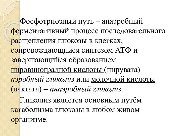 Фосфотриозный путь – анаэробный ферментативный процесс последовательного расщепления глюкозы в