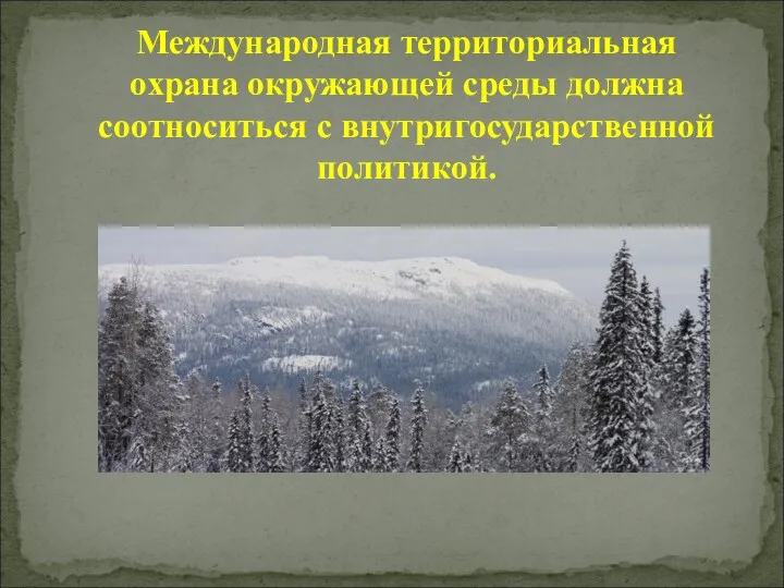 Международная территориальная охрана окружающей среды должна соотноситься с внутригосударственной политикой.