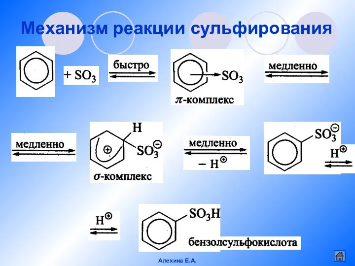 Механизм реакции сульфирования Алехина Е.А.