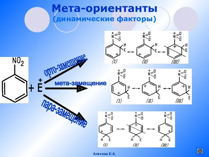 Мета-ориентанты (динамические факторы) орто-замещение мета-замещение пара-замещение + E + Алехина Е.А.