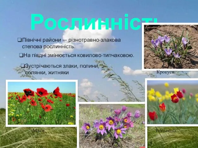 Рослинність Північні райони — різнотравно-злакова степова рослинність. На півдні змінюється