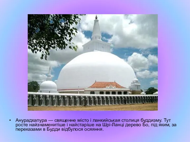 Анурадхапура — священне місто і ланкийськая столиця буддизму. Тут росте найзнаменитіше і найстаріше