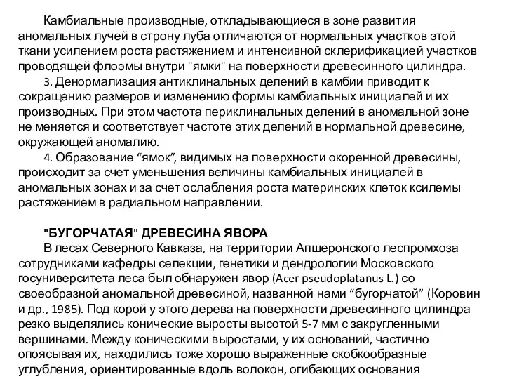 Камбиальные производные, откладывающиеся в зоне развития аномальных лучей в строну