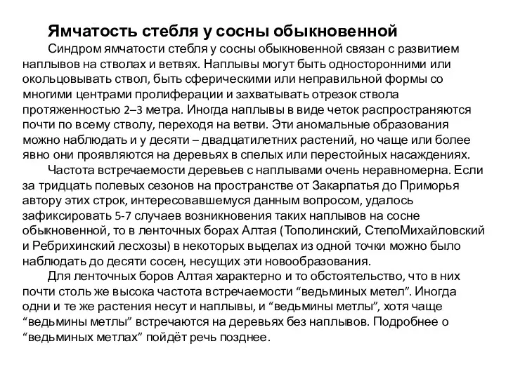 Ямчатость стебля у сосны обыкновенной Синдром ямчатости стебля у сосны