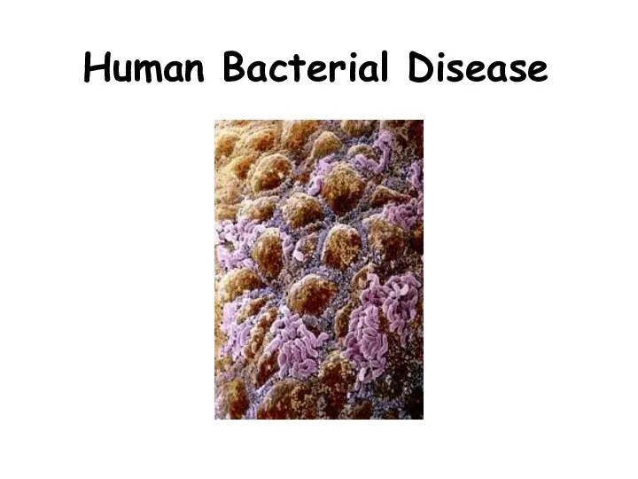 Human Bacterial Disease