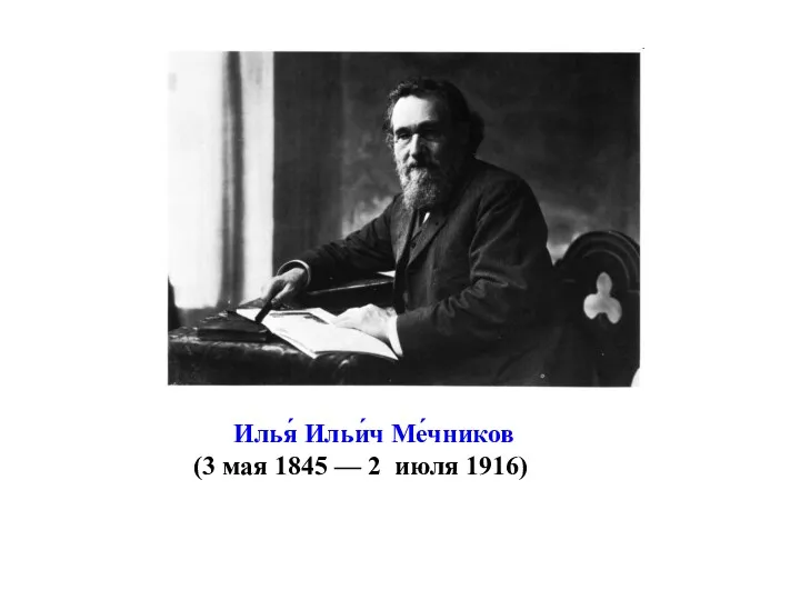 Илья́ Ильи́ч Ме́чников (3 мая 1845 — 2 июля 1916)