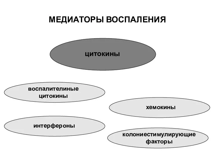 МЕДИАТОРЫ ВОСПАЛЕНИЯ цитокины воспалителиные цитокины интерфероны хемокины колониестимулирующие факторы