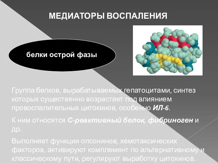 МЕДИАТОРЫ ВОСПАЛЕНИЯ белки острой фазы Группа белков, вырабатываемых гепатоцитами, синтез