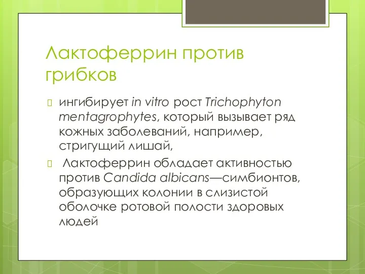 Лактоферрин против грибков ингибирует in vitro рост Trichophyton mentagrophytes, который