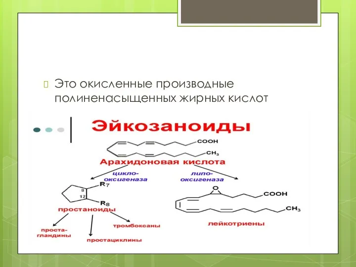 Это окисленные производные полиненасыщенных жирных кислот