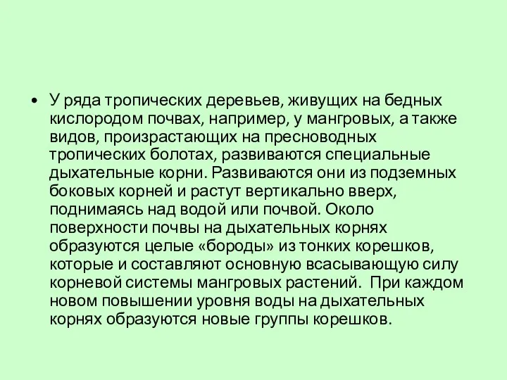 У ряда тропических деревьев, живущих на бедных кислородом почвах, например,