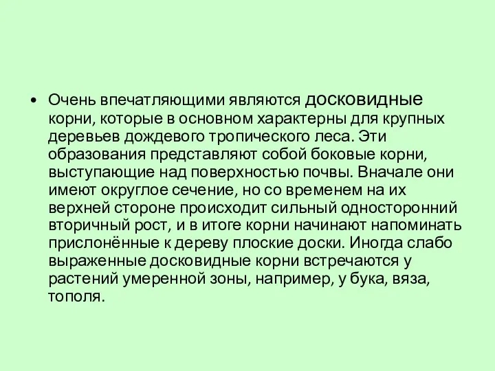 Очень впечатляющими являются досковидные корни, которые в основном характерны для