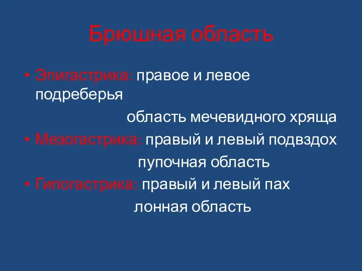 Брюшная область Эпигастрика: правое и левое подреберья область мечевидного хряща Мезогастрика: правый и