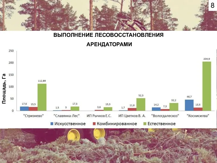 8 ВЫПОЛНЕНИЕ ЛЕСОВОССТАНОВЛЕНИЯ АРЕНДАТОРАМИ Площадь, Га