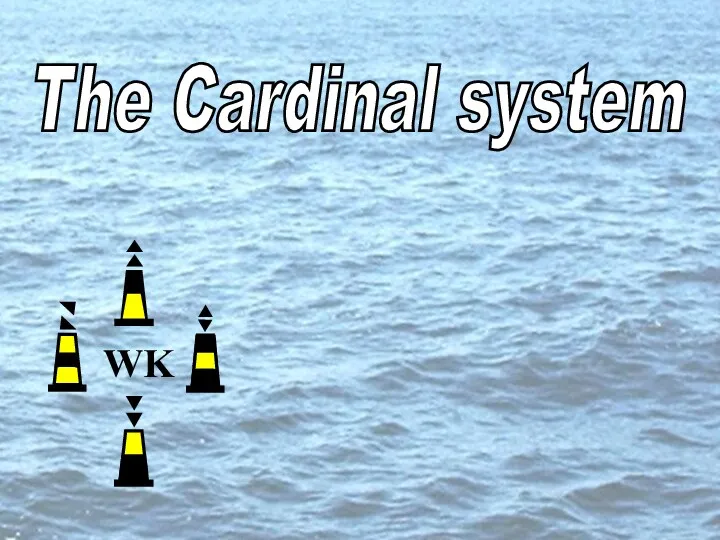 s The Cardinal system