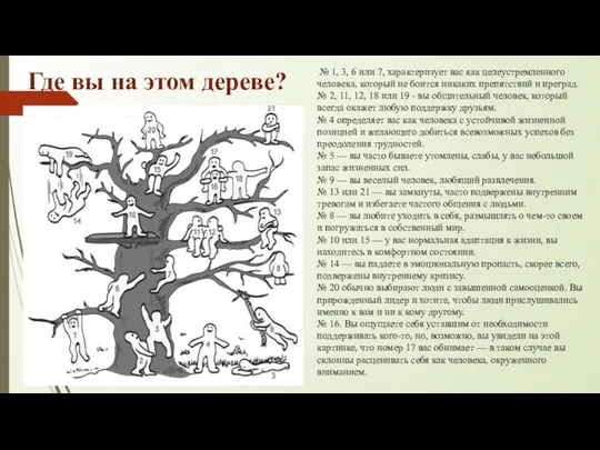 Где вы на этом дереве? № 1, 3, 6 или