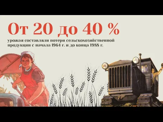 От 20 до 40 % урожая составляли потери сельскохозяйственной продукции