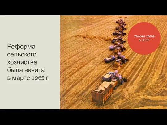 Реформа сельского хозяйства была начата в марте 1965 г. Уборка хлеба в СССР