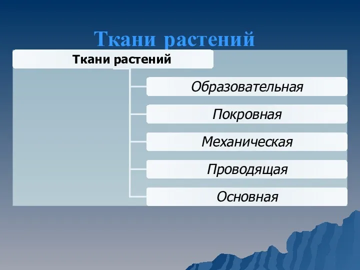 Ткани растений