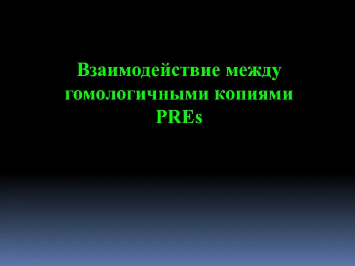 Взаимодействие между гомологичными копиями PREs