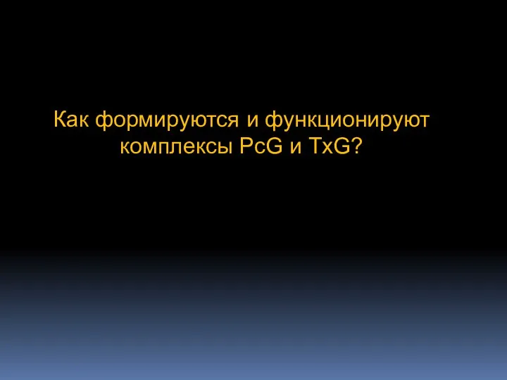 Как формируются и функционируют комплексы PcG и TxG?