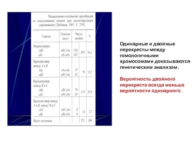 Одинарные и двойные перекресты между гомологичными хромосомами доказываются генетическим анализом.