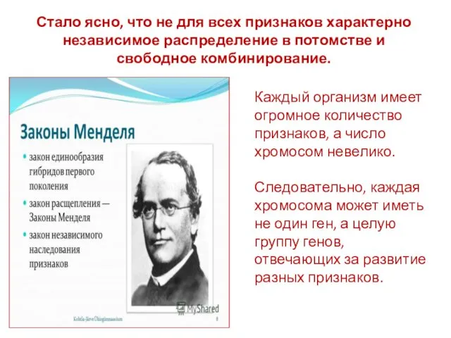 Стало ясно, что не для всех признаков характерно независимое распределение в потомстве и