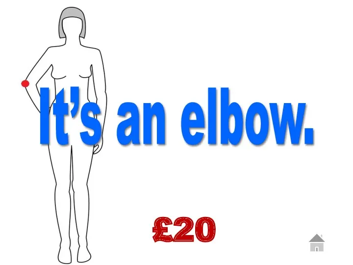 £20 It’s an elbow.