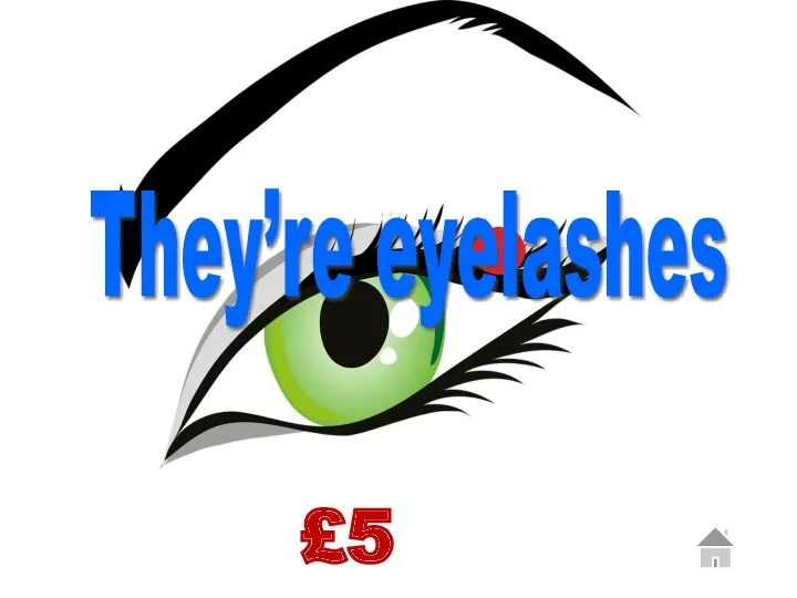 £5 They’re eyelashes