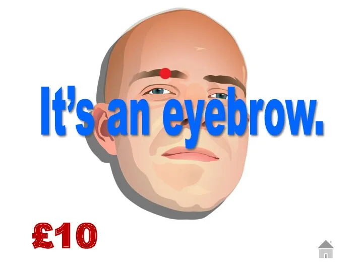 £10 It’s an eyebrow.