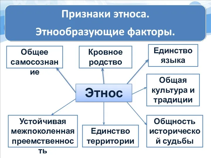 Этнос Единство территории Кровное родство Общность исторической судьбы Общая культура