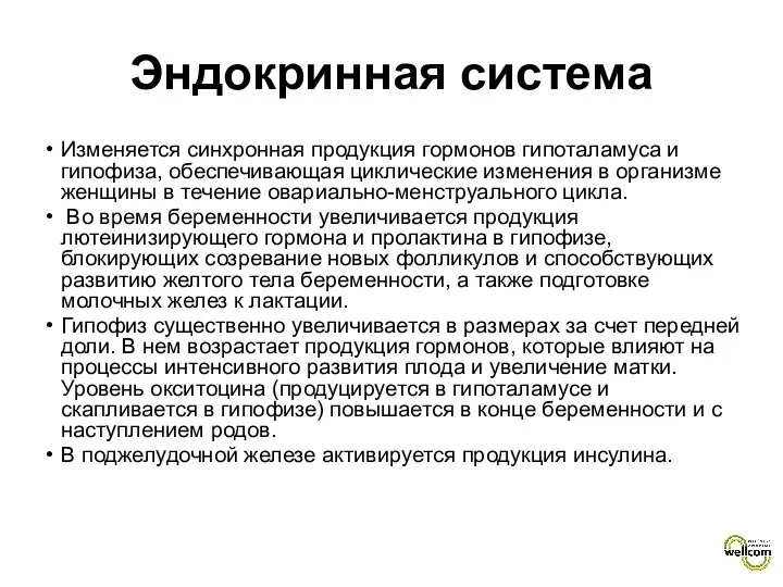 Эндокринная система Изменяется синхронная продукция гормонов гипоталамуса и гипофиза, обеспечивающая