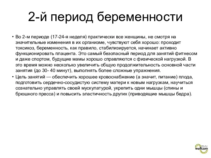 2-й период беременности Во 2-м периоде (17-24-я неделя) практически все