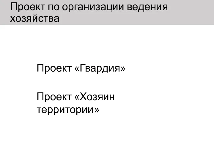 Проект по организации ведения хозяйства Проект «Гвардия» Проект «Хозяин территории»