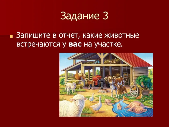 Задание 3 Запишите в отчет, какие животные встречаются у вас на участке.