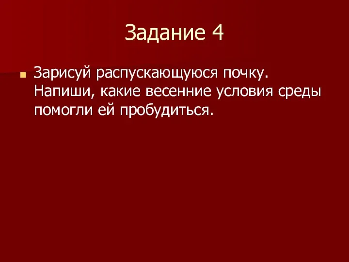 Задание 4 Зарисуй распускающуюся почку. Напиши, какие весенние условия среды помогли ей пробудиться.