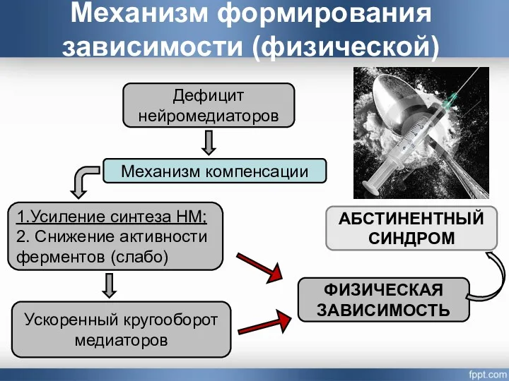 Механизм формирования зависимости (физической) Дефицит нейромедиаторов Механизм компенсации 1.Усиление синтеза