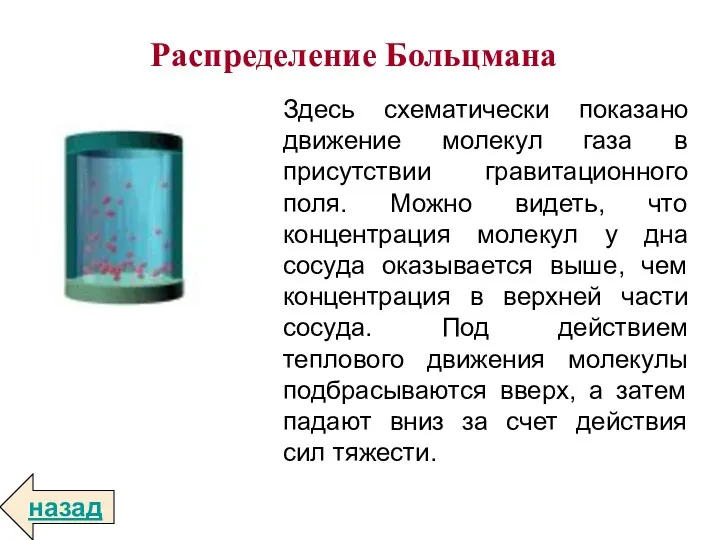 Распределение Больцмана Здесь схематически показано движение молекул газа в присутствии