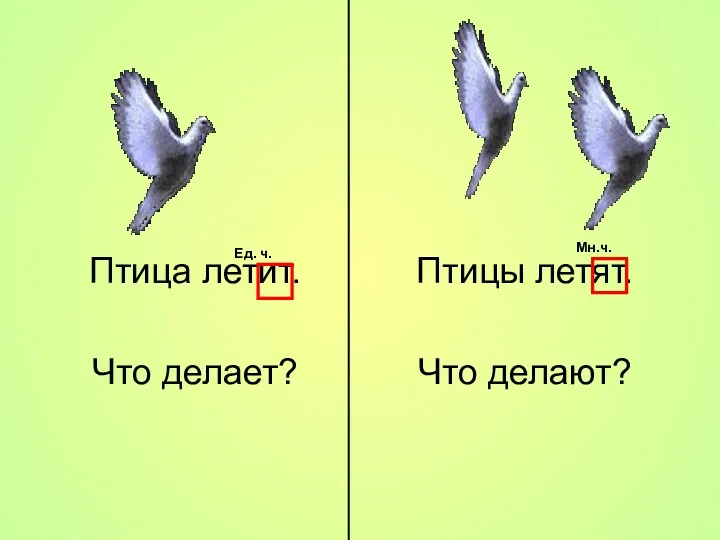 Птица летит. Что делает? Птицы летят. Что делают? Ед. ч. Мн.ч.