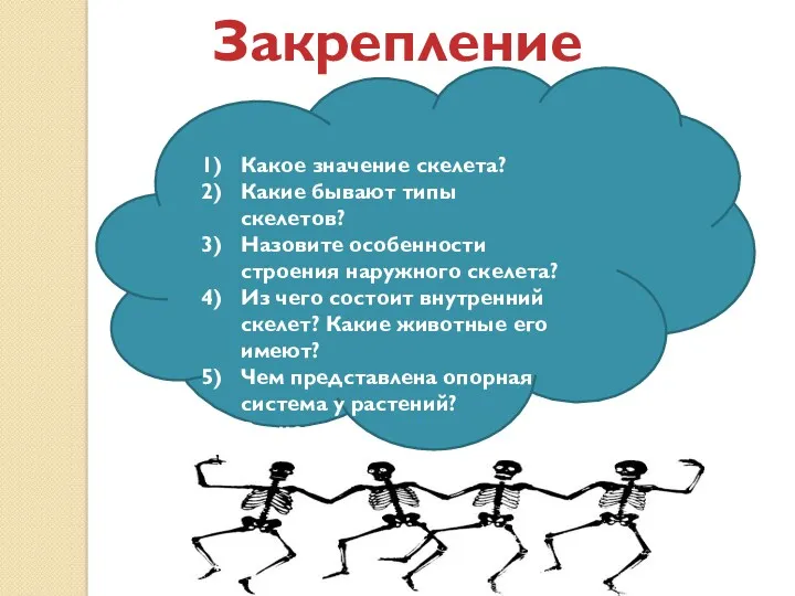 Закрепление: Какое значение скелета? Какие бывают типы скелетов? Назовите особенности