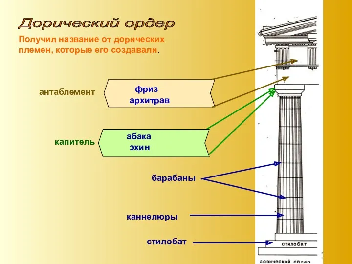 Дорический ордер Получил название от дорических племен, которые его создавали.