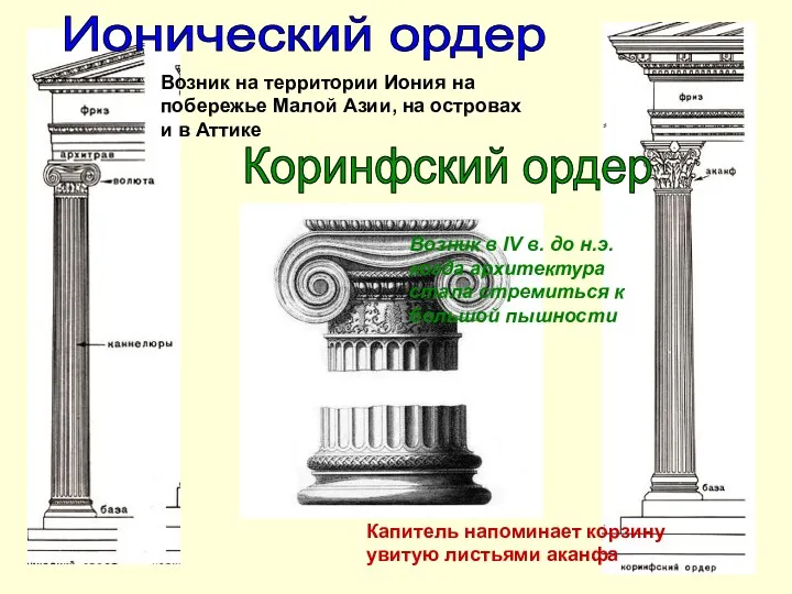 Ионический ордер Возник на территории Иония на побережье Малой Азии,