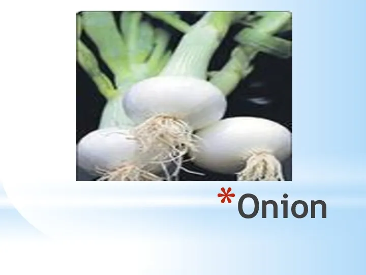 Onion