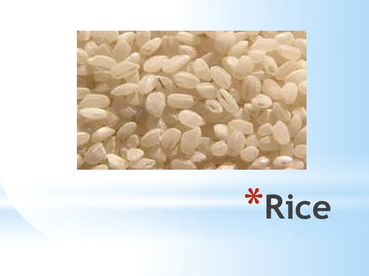 Rice