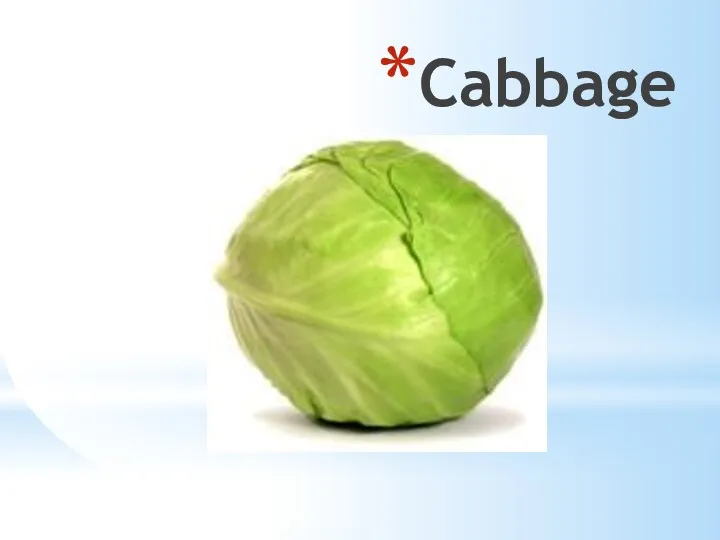 Cabbage