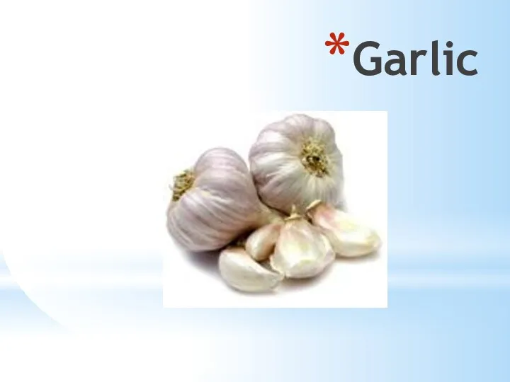 Garlic