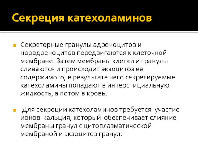 Секреция катехоламинов Секреторные гранулы адреноцитов и норадреноцитов передвигаются к клеточной