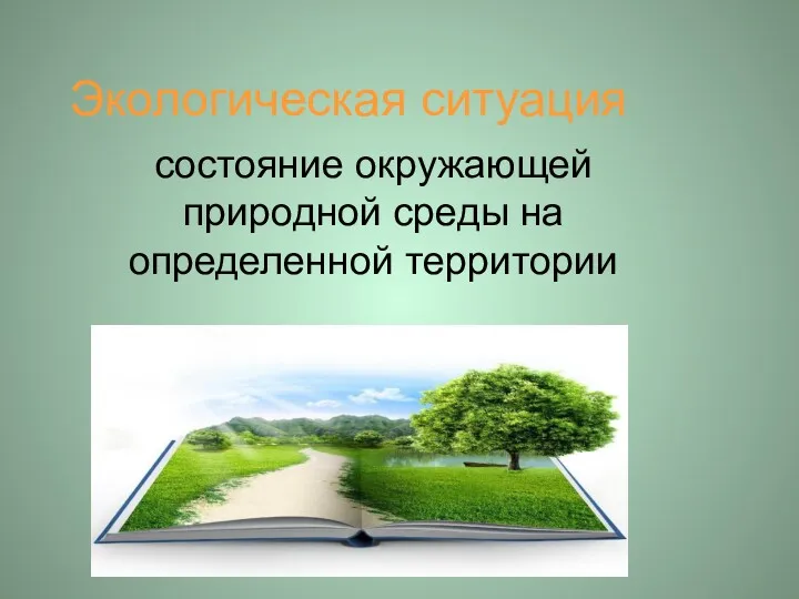 Экологическая ситуация состояние окружающей природной среды на определенной территории