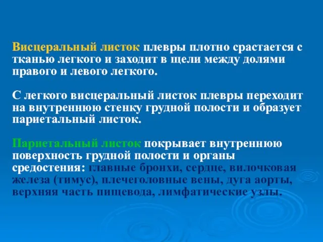 Висцеральный листок плевры плотно срастается с тканью легкого и заходит