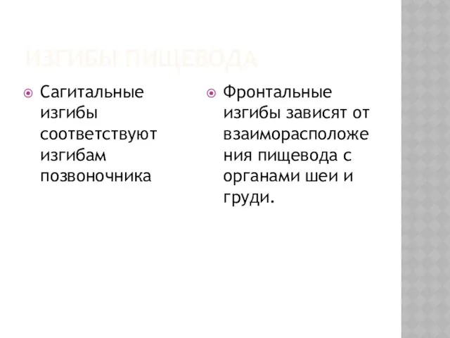 ИЗГИБЫ ПИЩЕВОДА Сагитальные изгибы соответствуют изгибам позвоночника Фронтальные изгибы зависят